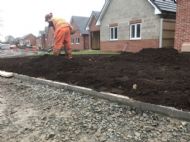 Click for all images